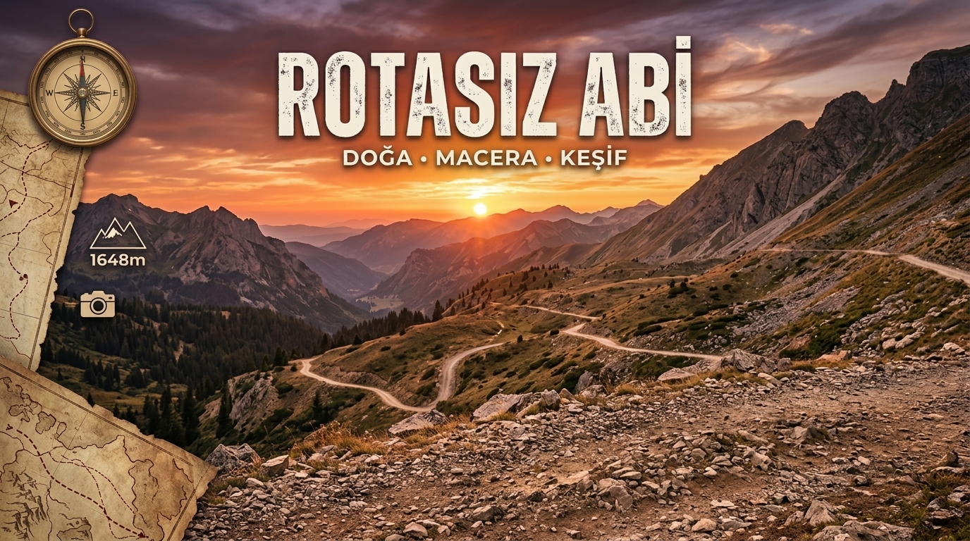 Ticari Taksi Plakası Alırken Nelere Dikkat Edilmeli? (Kapsamlı Rehber)